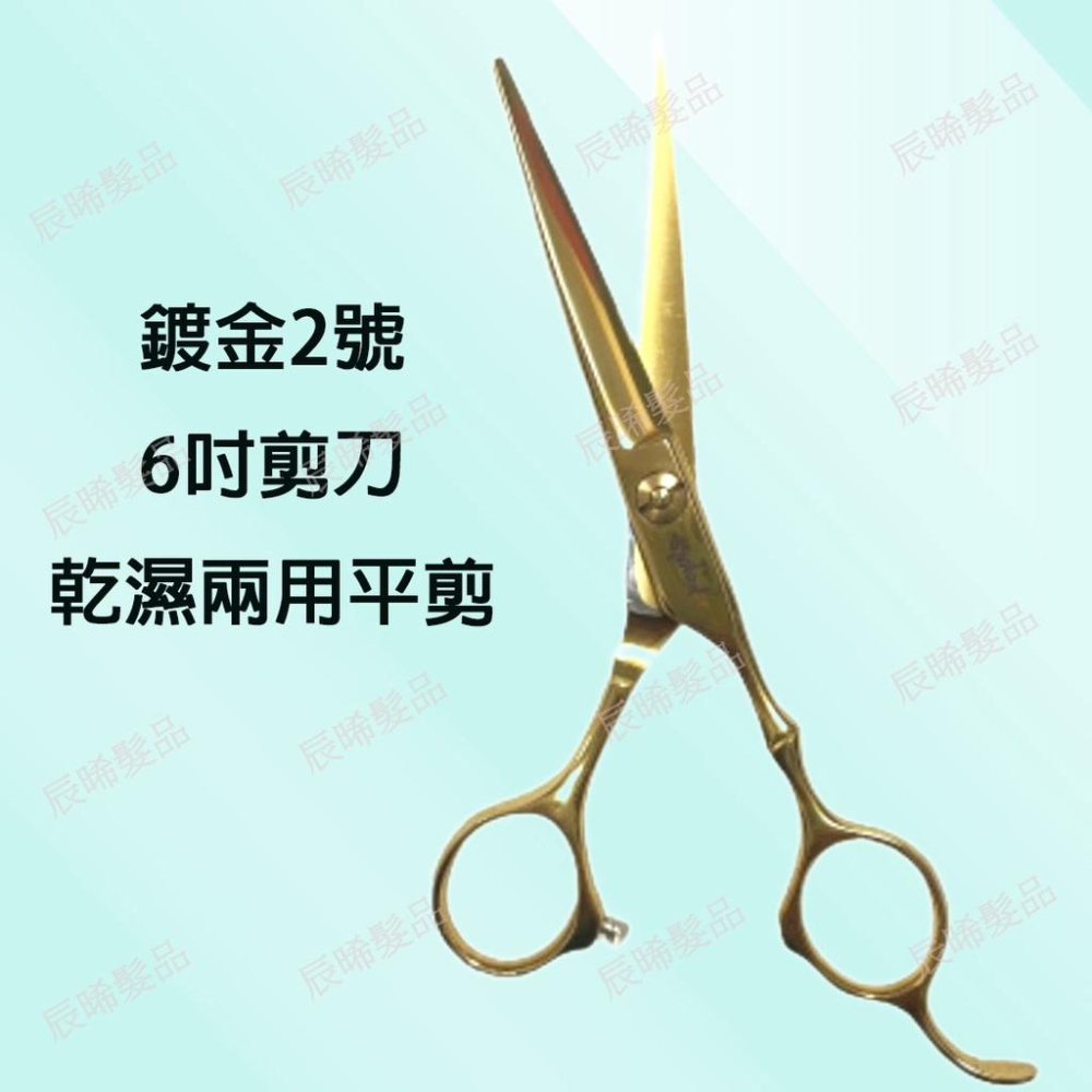 ✝️辰晞髮品✝️ 專業美髮剪刀 亮面 鍍金 金色2號 6寸剪刀 乾濕兩用平剪 設計師剪刀 美髮 沙龍-細節圖2