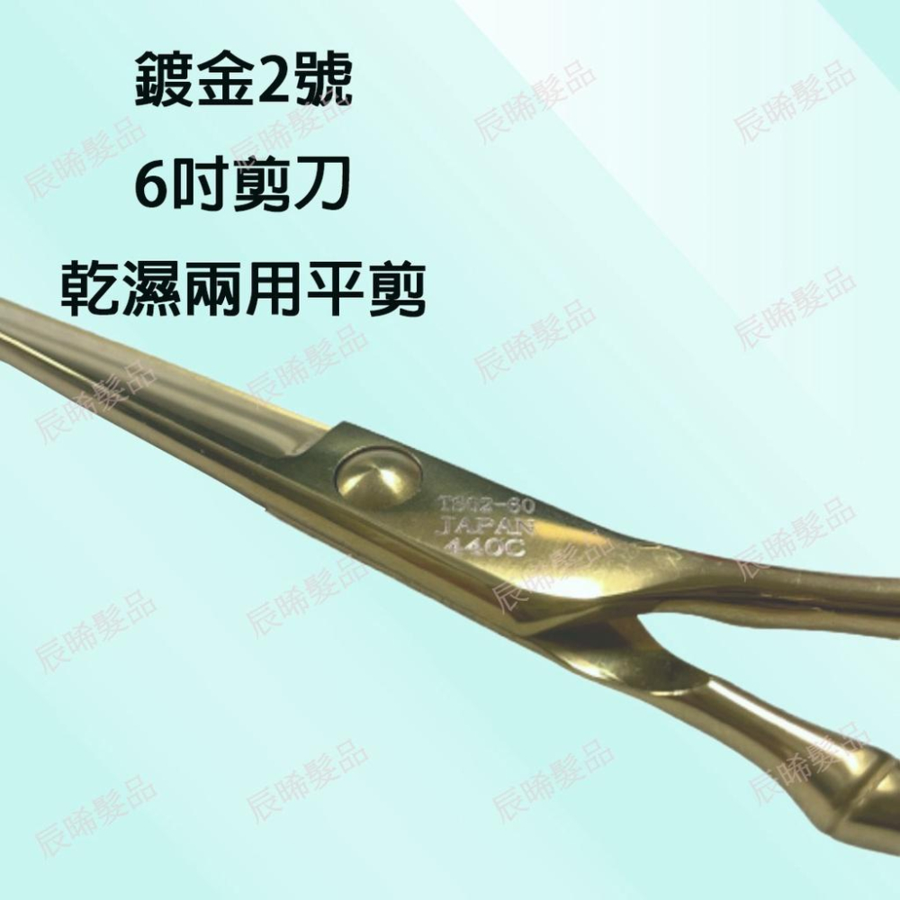 ✝️辰晞髮品✝️ 專業美髮剪刀 亮面 鍍金 金色2號 6寸剪刀 乾濕兩用平剪 設計師剪刀 美髮 沙龍-細節圖3
