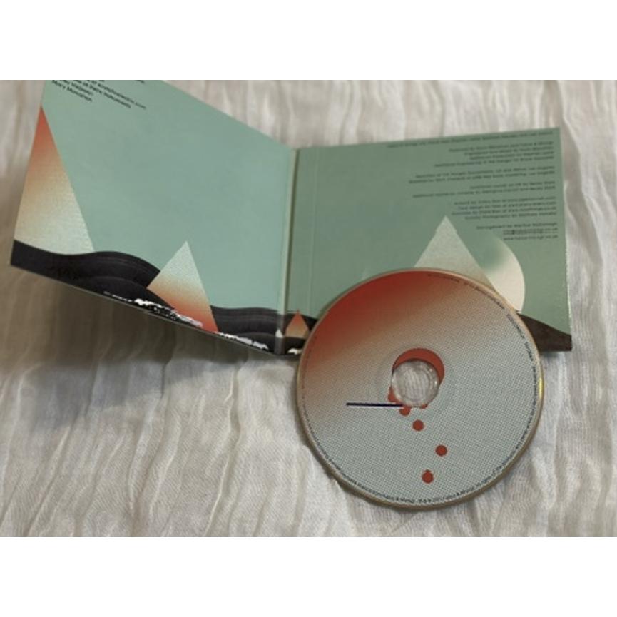 二手稀有自有CD Fujiya & Miyagi / Ventriloquizzing 腹語術 獨立音樂 小眾音樂-細節圖2