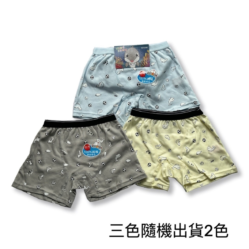 名秀 💈 太空 海豚 男童平口褲 男童內褲 純棉四角褲 幼稚園內褲  男童四角褲  8807 8810-規格圖9