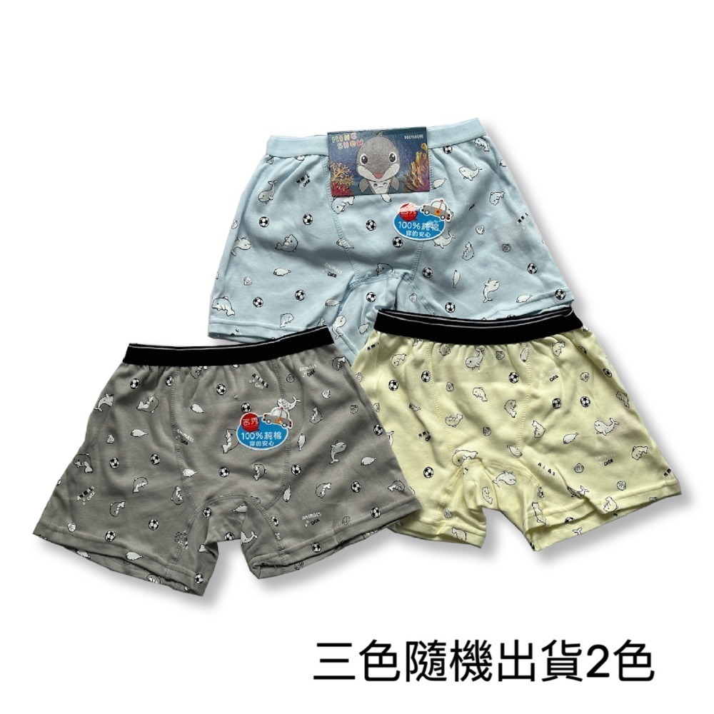 名秀 💈 太空 海豚 男童平口褲 男童內褲 純棉四角褲 幼稚園內褲  男童四角褲  8807 8810-規格圖9