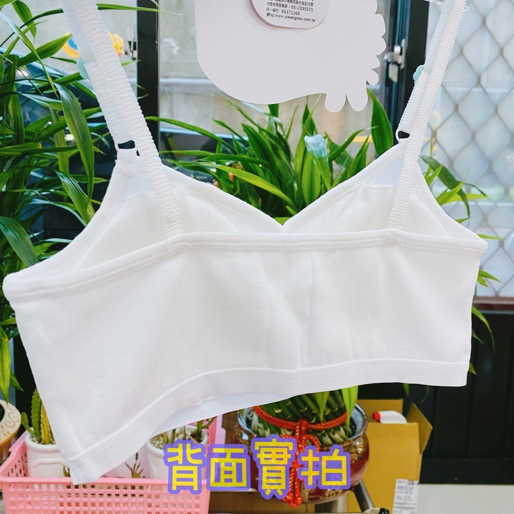 一王美 💈  細肩胸衣 學生內衣 女童內衣 內搭胸衣 學生內衣 學生胸衣 活動胸墊 小女生胸衣 7228A 9615-細節圖3