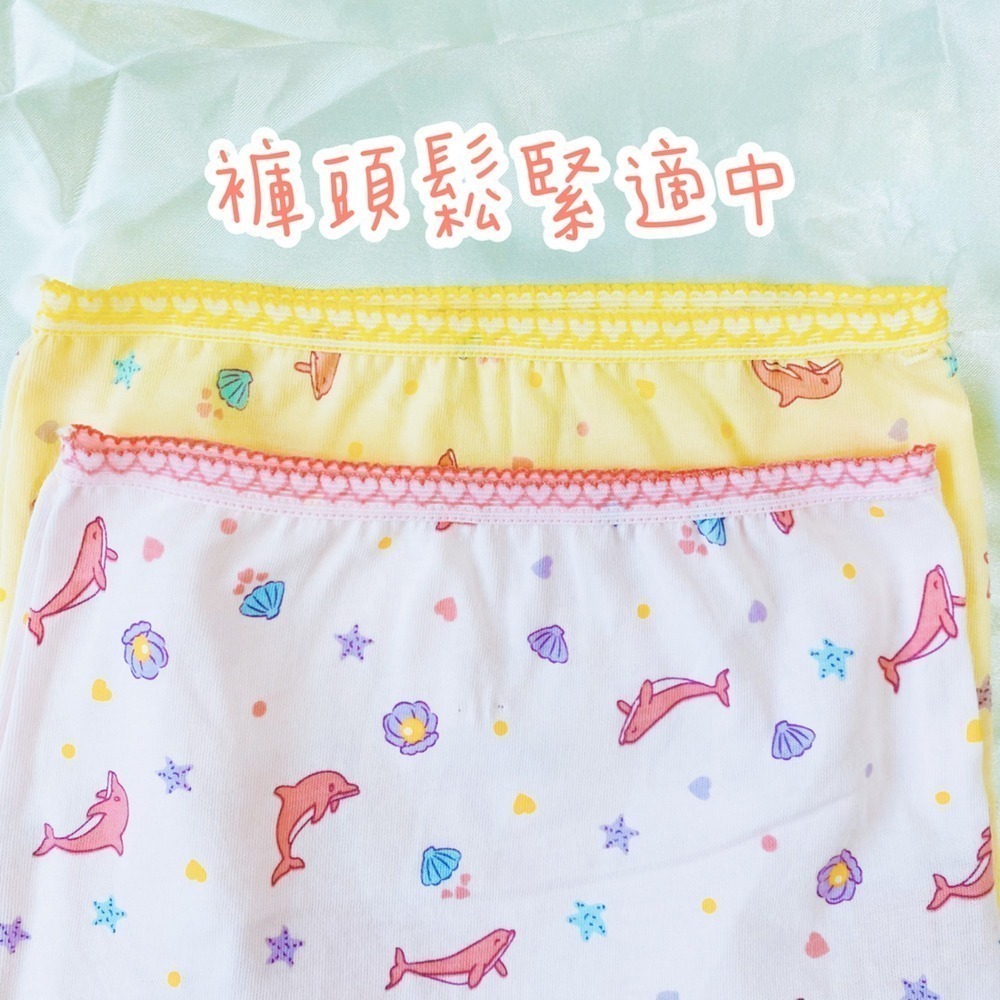 名秀 💈 小兔子 鯨魚 女童平口褲 女童內褲 純棉四角褲 安全舒適 幼稚園內褲  台灣製 2230 2238 2240-細節圖2