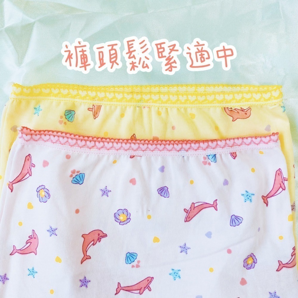 名秀 💈 小兔子 鯨魚 女童平口褲 女童內褲 純棉四角褲 安全舒適 幼稚園內褲  台灣製 2230 2238 2240-細節圖2
