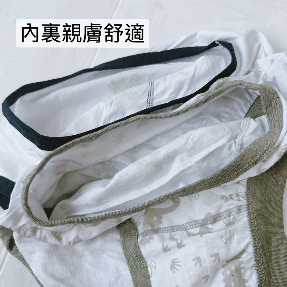 台灣製 💈 可愛恐龍 男童三角褲 男童內褲 幼稚園內褲 男童三角褲 小男生內褲 兒童內褲 112 5802 111-細節圖5