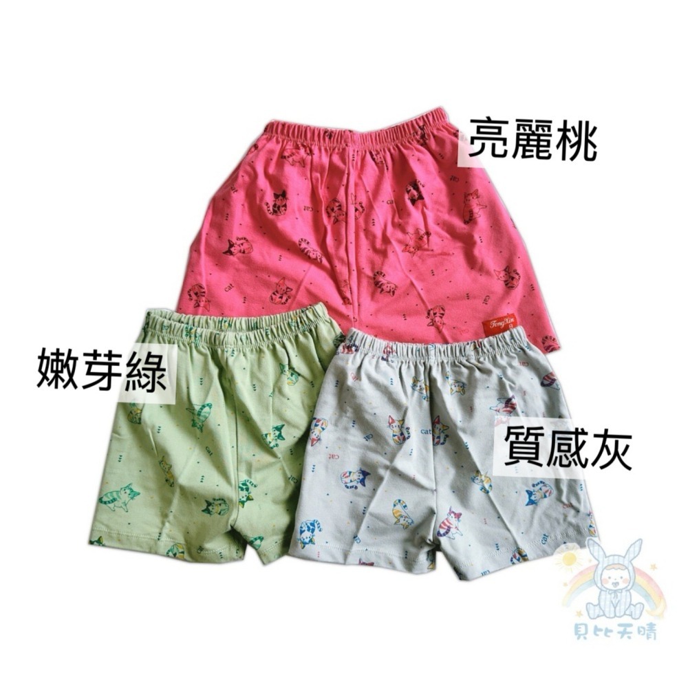 童馨 👶 純棉短褲 兒童短褲 男童短褲 女童短褲 寶寶短褲 幼童短褲 小孩短褲 休閒短褲 貓咪短褲 1970-細節圖7