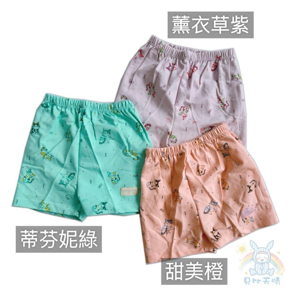 童馨 👶 純棉短褲 兒童短褲 男童短褲 女童短褲 寶寶短褲 幼童短褲 小孩短褲 休閒短褲 貓咪短褲 1970-細節圖8