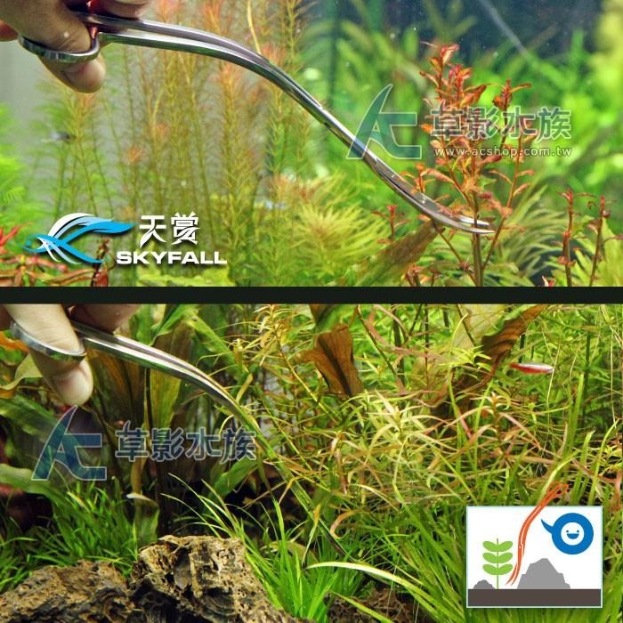 【AC草影】SKYFALL 天賞 鏡面不鏽鋼S型波浪剪刀（24cm）【一支】魚缸清潔 水草修剪 水草剪刀 剪水草-細節圖6