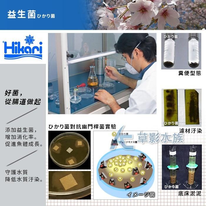 【AC草影】Hikari 高夠力 第三代 龍魚增豔飼料（200g）【一包】-細節圖4