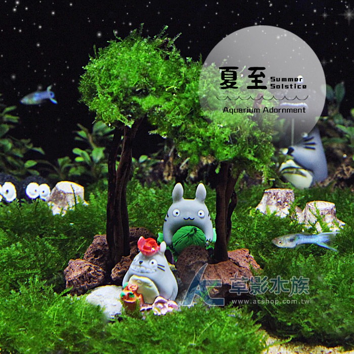 【AC草影】夏至【一棵】 鞦韆水草造景 耐熱 魚缸造景 小三角默斯 不用co2 不須二氧化碳 新手水草 默思 陰性草-規格圖9