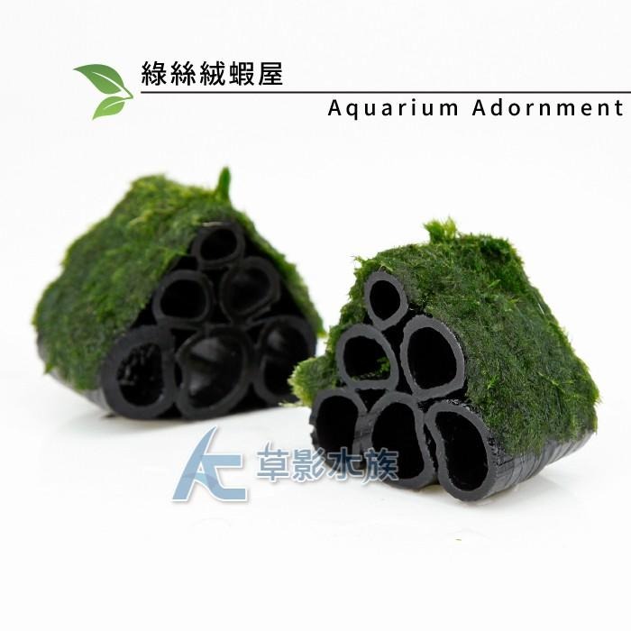 【AC草影】綠絲絨蝦屋（M）【一座】陰性水草 陰性草-細節圖3