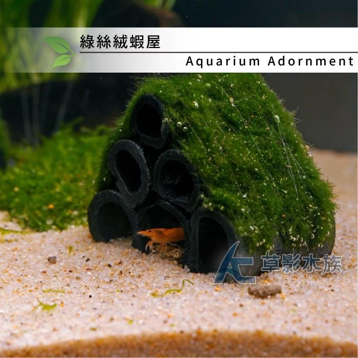 【AC草影】綠絲絨蝦屋（M）【一座】陰性水草 陰性草-細節圖4