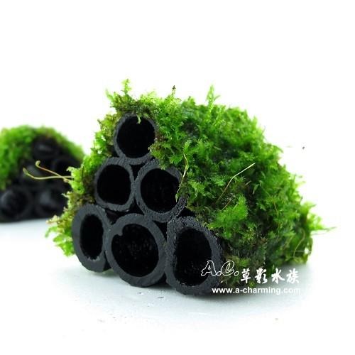 【AC草影】竹碳默思蝦屋（4cm）【一座】陰性水草 不需要CO2 不用二氧化碳 綠水草 魚蝦躲藏用 可培養菌種 陰性草-細節圖2