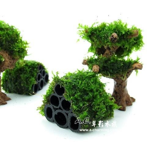 【AC草影】竹碳默思蝦屋（4cm）【一座】陰性水草 不需要CO2 不用二氧化碳 綠水草 魚蝦躲藏用 可培養菌種 陰性草-細節圖3