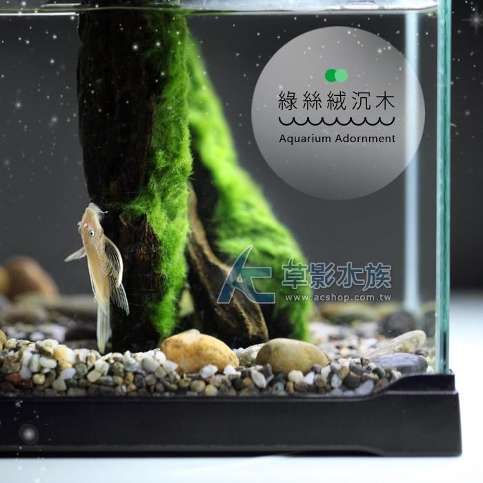【AC草影】綠絲絨沉木【一棵】陰性水草 陰性草 真水草 水生植物 魚缸水草 水族造景 水族箱裝飾 魚缸擺設 水生植物-細節圖2