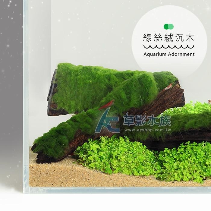 【AC草影】綠絲絨沉木【一棵】陰性水草 陰性草 真水草 水生植物 魚缸水草 水族造景 水族箱裝飾 魚缸擺設 水生植物-細節圖4