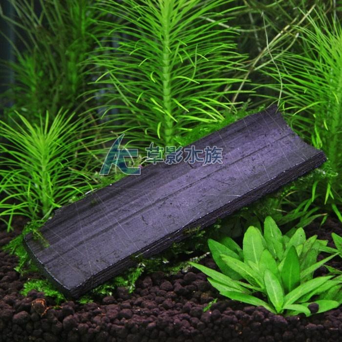 【AC草影】小三角默絲竹炭片【三片】陰性水草 陰性草 不用co2 不須二氧化碳 新手水草 默思 莫斯 水生植物 綠水草-細節圖4