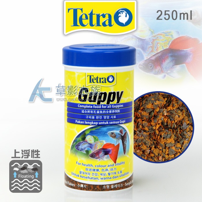 【AC草影】ISTA 伊士達 孔雀魚飼料 孔雀魚 小型魚 小碎粒飼料 全紅白子 天空藍孔雀 紅蓮燈飼料 燈魚飼料 鬥魚-規格圖7