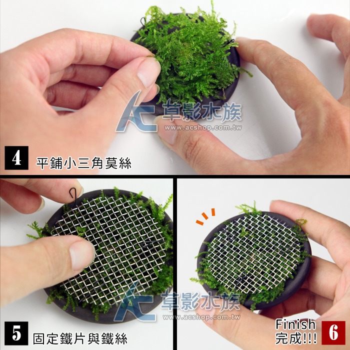 【AC草影】DIY手作 牛刀小試創作包【套餐】【一組】DIY裝飾 魚缸飾品 水族擺飾 陰性水草 陰性草 佈景套裝-細節圖2