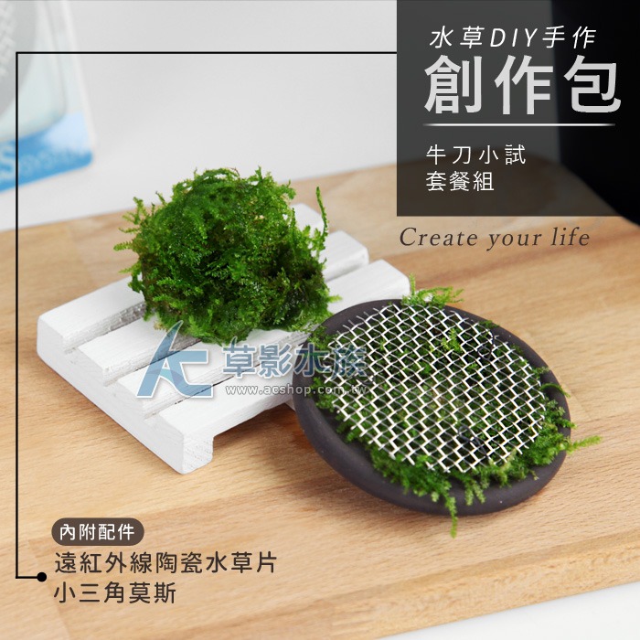 【AC草影】DIY手作 牛刀小試創作包【套餐】【一組】DIY裝飾 魚缸飾品 水族擺飾 陰性水草 陰性草 佈景套裝-細節圖3
