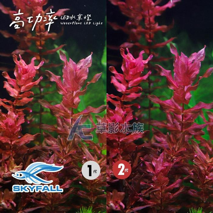 【AC草影】SKYFALL 天賞 2代高功率 LED水草燈（30cm）【一個】紅色水草 陽性水草 台灣製造LED燈具-細節圖2