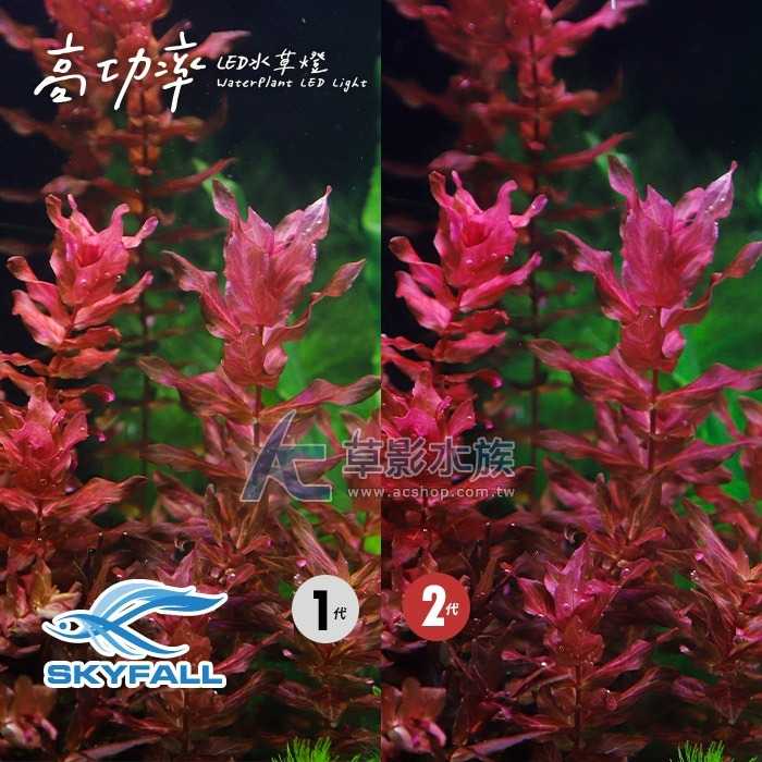 【AC草影】SKYFALL 天賞 2代高功率 LED水草燈（45cm）【一個】水草LED燈 高功率 台灣製造 水草燈-細節圖5