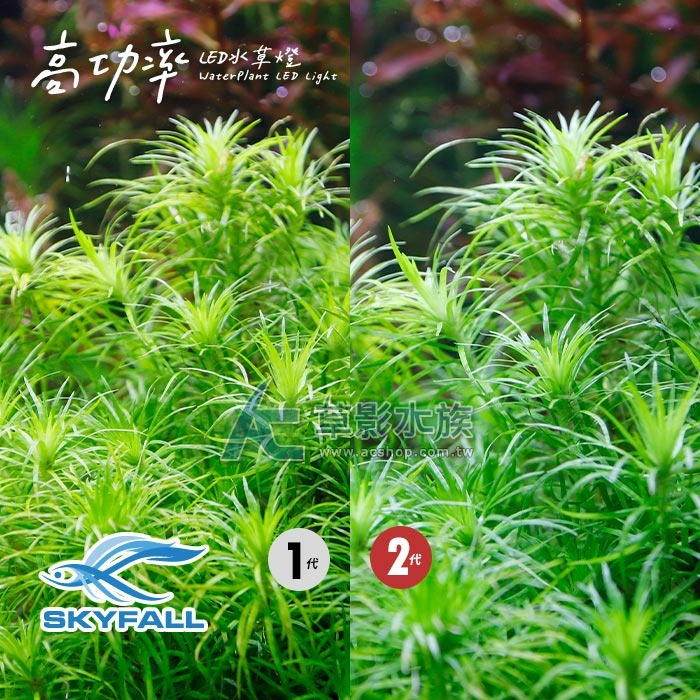 【AC草影】SKYFALL 天賞 2代高功率 LED水草燈（60cm）【一支】水草LED燈 高功率 台灣製造 水草燈-細節圖5