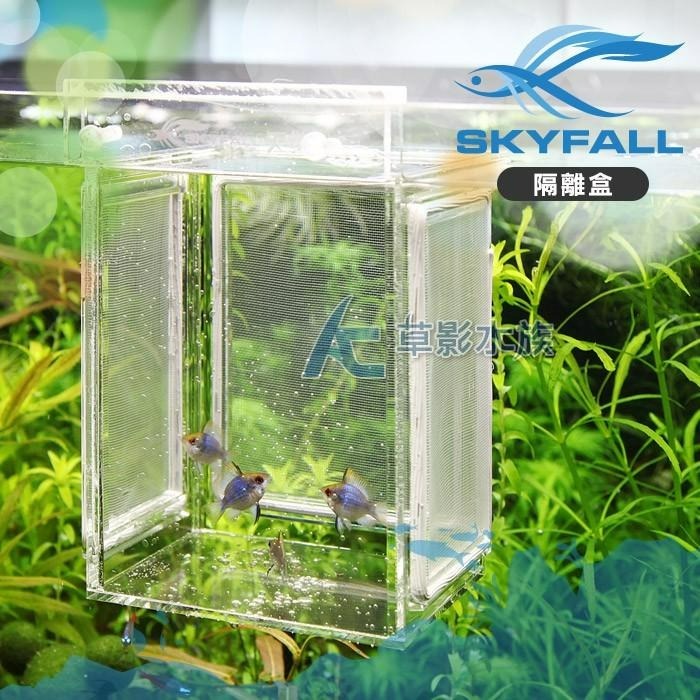 【AC草影】SKYFALL 天賞 二代 掛缸式紗網隔離盒【一組】隔離小蝦 母蝦產卵-細節圖7