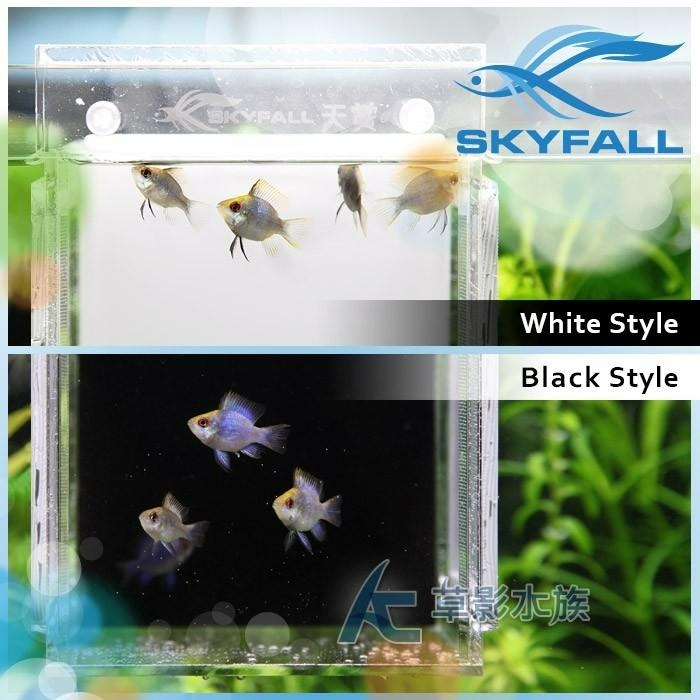 【AC草影】SKYFALL 天賞 二代 掛缸式紗網隔離盒【一組】隔離小蝦 母蝦產卵-細節圖8