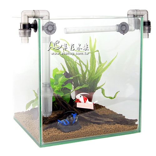 【AC草影】SKYFALL 天賞 外置式圓筒配件 入水組（12/16）【一盒】小圓桶用 過濾器入水口 703圓筒 進水組-細節圖4