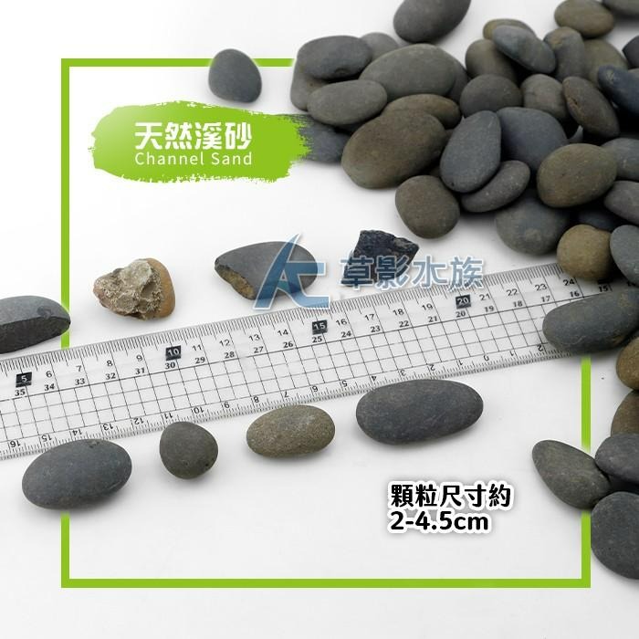 【AC草影】SKYFALL 天賞 砂勞越天然河砂（3kg）【一包】進口河砂 水族底砂 烏龜底砂 烏龜沙-細節圖2