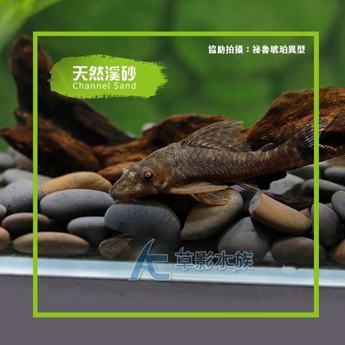 【AC草影】SKYFALL 天賞 砂勞越天然河砂（3kg）【一包】進口河砂 水族底砂 烏龜底砂 烏龜沙-細節圖3