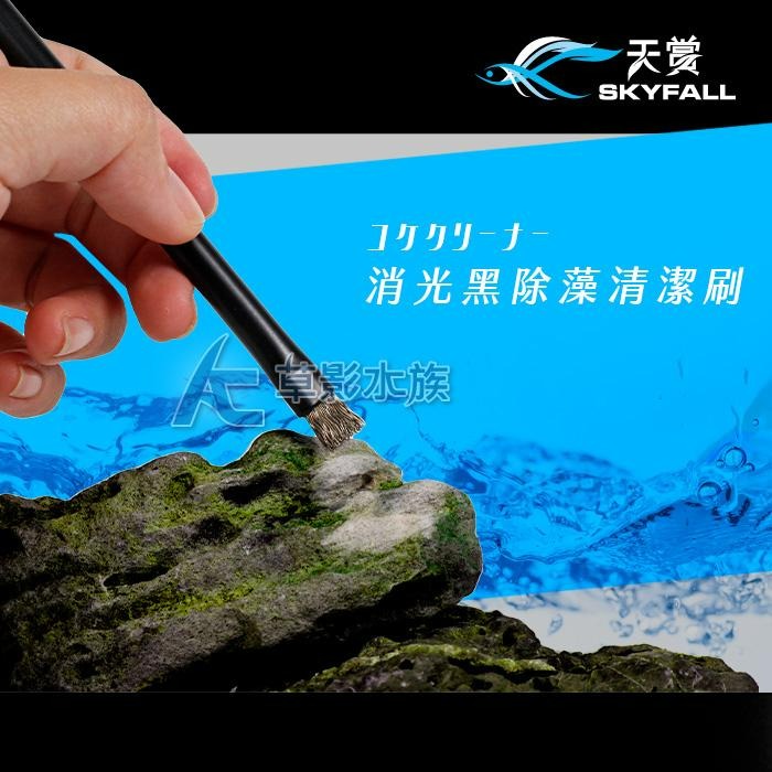 【AC草影】SKYFALL 天賞 消光黑除藻清潔刷【一支】強力除藻 除藻刷 魚缸清潔刷 除黑毛藻 造景石頭清潔-細節圖2