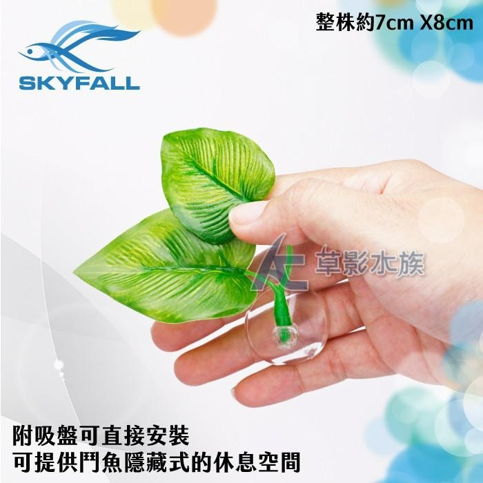 【AC草影】SKYFALL 天賞 鬥魚休息室【一個】鬥魚繁殖葉 鬥魚休息葉 鬥魚缸造景 鬥魚產卵 休息葉 躲避 鬥魚-細節圖2