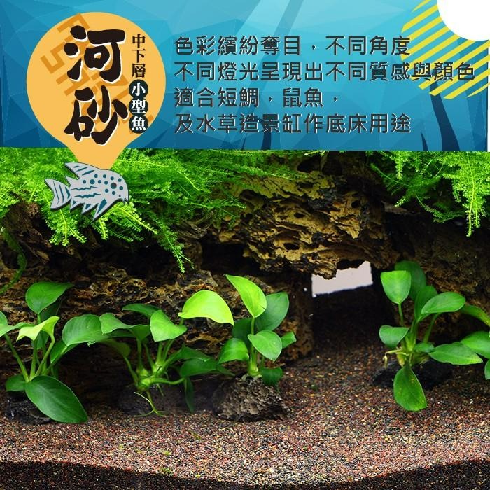 【AC草影】SKYFALL 天賞 短鯛、鼠魚專用砂（1.5kg）【一包】鼠砂 鼠沙 熱帶雨林砂 水族底沙 底沙 短鯛專用-細節圖6