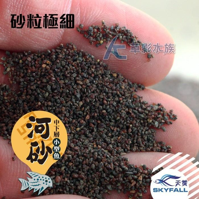 【AC草影】SKYFALL 天賞 短鯛、鼠魚專用砂（3kg）【一包】鼠砂 鼠沙 熱帶雨林砂 短鯛砂-細節圖2