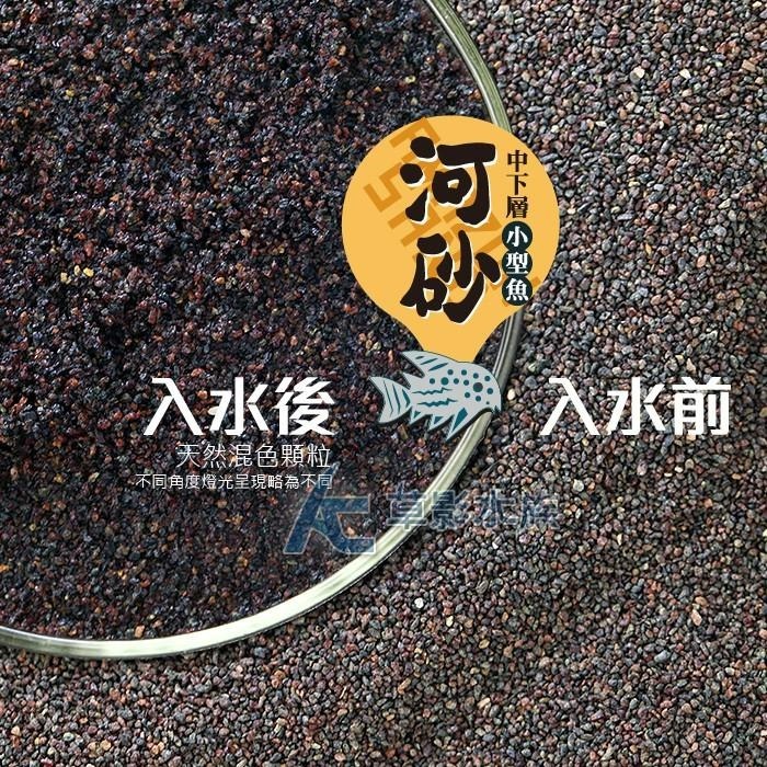 【AC草影】SKYFALL 天賞 短鯛、鼠魚專用砂（3kg）【一包】鼠砂 鼠沙 熱帶雨林砂 短鯛砂-細節圖4