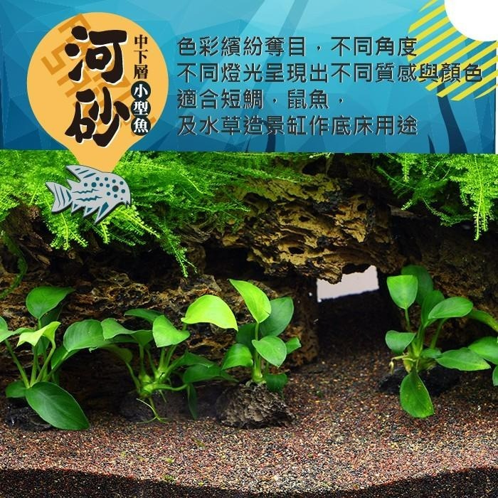 【AC草影】SKYFALL 天賞 短鯛、鼠魚專用砂（3kg）【一包】鼠砂 鼠沙 熱帶雨林砂 短鯛砂-細節圖7