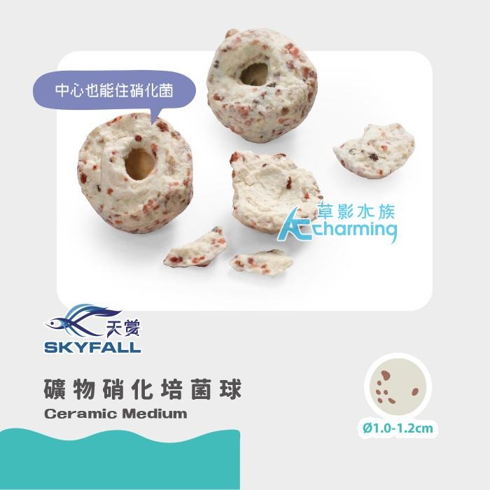 【AC草影】SKYFALL 天賞 硝波塊益菌屋 【一份】礦物硝化培菌球  陶瓷環 石英球 陶瓷珠 魚缸過濾 水族箱濾材-細節圖6
