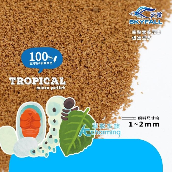 【AC草影】SKYFALL 天賞 燈科魚飼料（20g）蠶蛹口味【一包】 魚蝦飼料 小型魚 燈魚飼料 通過食品安全認證-細節圖4