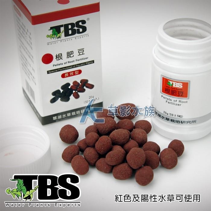 【AC草影】TBS 翠湖 高鐵肥根肥豆（紅色鐵肥/50粒）【一罐】水草肥料 魚缸肥料 水生植物根肥 根肥 魚缸肥料-細節圖2