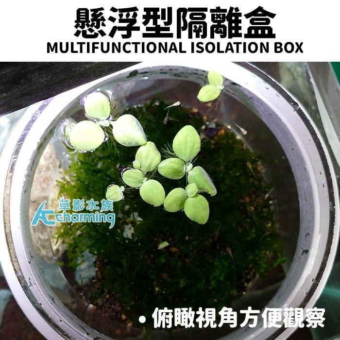 【AC草影】漂浮式 孔雀魚繁殖隔離盒【一組】孔雀魚隔離 小魚躲藏 小蝦躲避 孔雀魚繁殖 飼育盒 1+1 百變隔離網-細節圖3