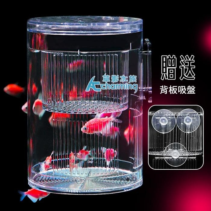 【AC草影】漂浮式 孔雀魚繁殖隔離盒【一組】孔雀魚隔離 小魚躲藏 小蝦躲避 孔雀魚繁殖 飼育盒 1+1 百變隔離網-細節圖4