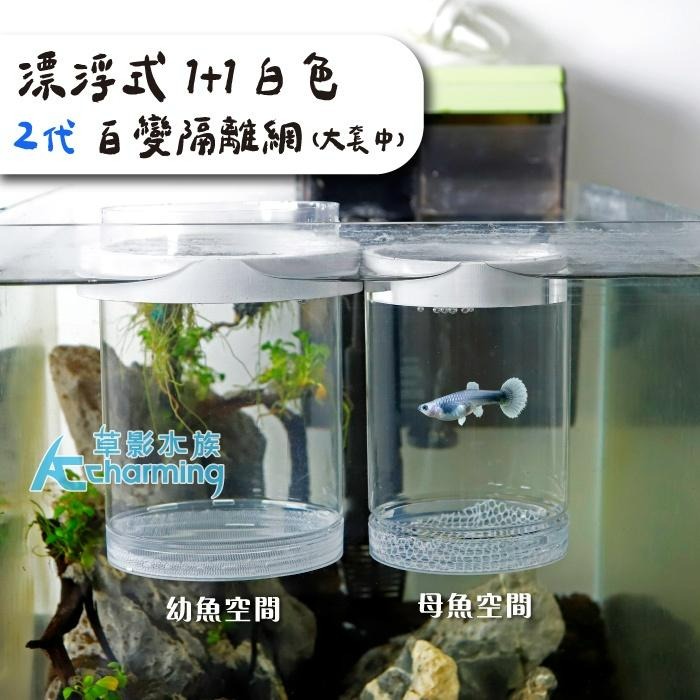 【AC草影】漂浮式 孔雀魚繁殖隔離盒【一組】孔雀魚隔離 小魚躲藏 小蝦躲避 孔雀魚繁殖 飼育盒 1+1 百變隔離網-細節圖6