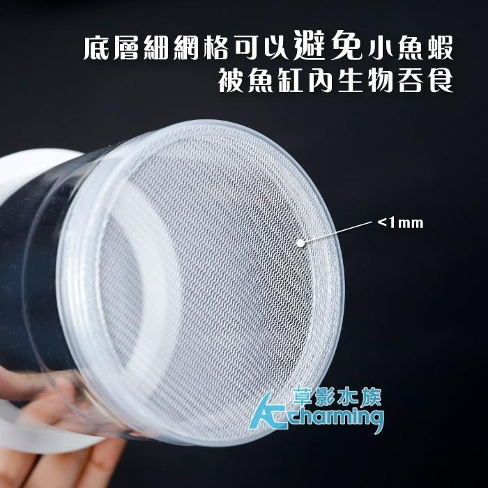 【AC草影】漂浮式 孔雀魚繁殖隔離盒【一組】孔雀魚隔離 小魚躲藏 小蝦躲避 孔雀魚繁殖 飼育盒 1+1 百變隔離網-細節圖7