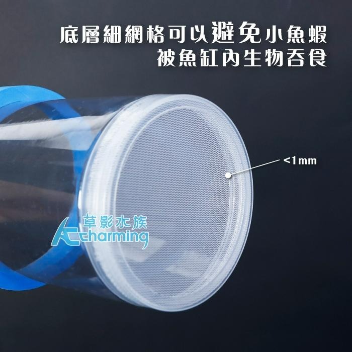 【AC草影】漂浮式 孔雀魚繁殖隔離盒【一組】孔雀魚隔離 小魚躲藏 小蝦躲避 孔雀魚繁殖 飼育盒 1+1 百變隔離網-細節圖9