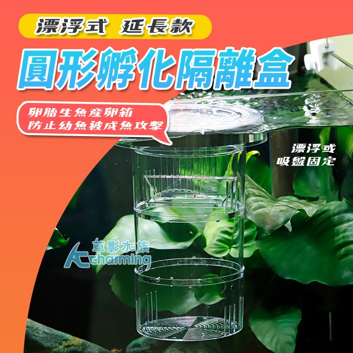 【AC草影】漂浮式 孔雀魚繁殖隔離盒【一組】孔雀魚隔離 小魚躲藏 小蝦躲避 孔雀魚繁殖 飼育盒 1+1 百變隔離網-規格圖9
