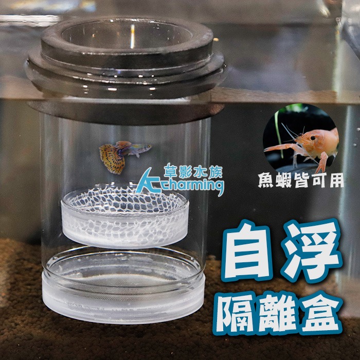 【AC草影】漂浮式 孔雀魚繁殖隔離盒【一組】孔雀魚隔離 小魚躲藏 小蝦躲避 孔雀魚繁殖 飼育盒 1+1 百變隔離網-規格圖9