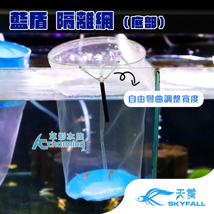 【AC草影】漂浮式 孔雀魚繁殖隔離盒【一組】孔雀魚隔離 小魚躲藏 小蝦躲避 孔雀魚繁殖 飼育盒 1+1 百變隔離網-規格圖9