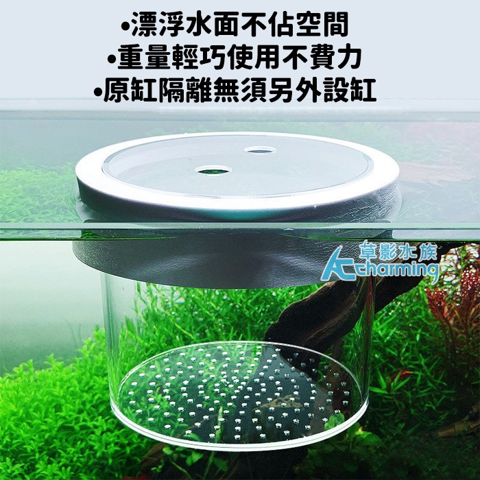 【AC草影】漂浮式 孔雀魚繁殖隔離盒【一組】孔雀魚隔離 小魚躲藏 小蝦躲避 孔雀魚繁殖 飼育盒 1+1 百變隔離網-規格圖9